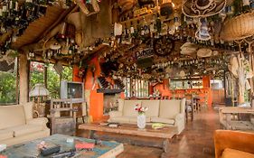 Hacienda Flamingo
